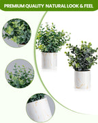 Black Artificial Plant — 9.05" - View 4