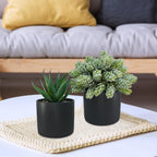 Black Artificial Plant — Set of 3 - View 6