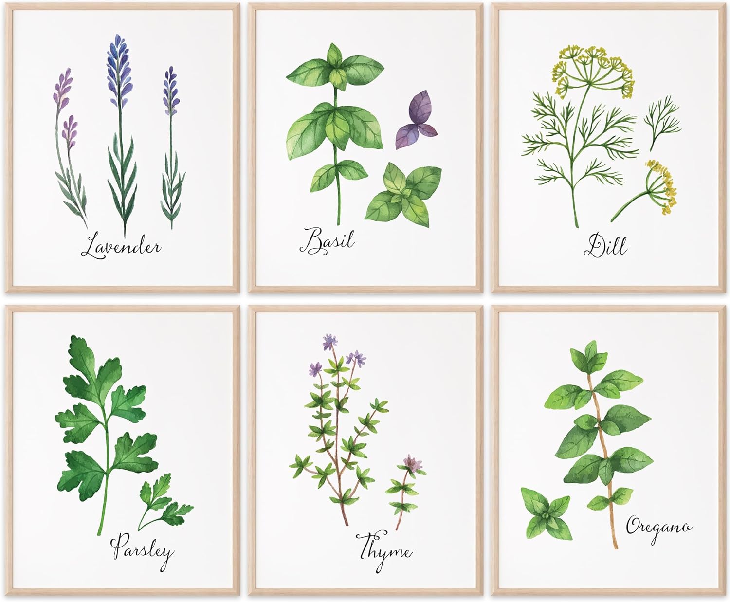 Unframed Wall Art — 11x14 — Kitchen Herbs 03