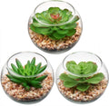 Glass Faux Succulent — 3pcs Succulents#07