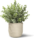 Farmhouse Green Faux Plant — 8" — Green Plant Style E