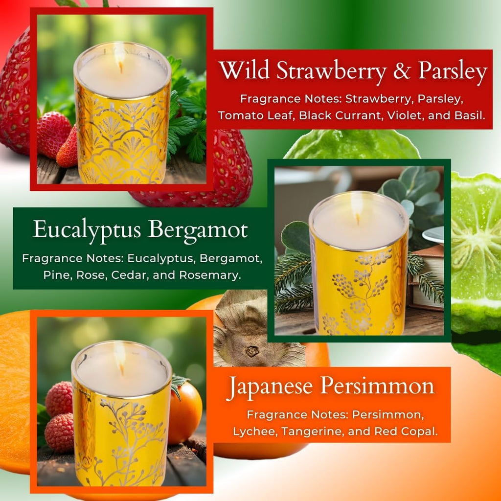 Soy Luxe Wax Scented Candle — Set of 3 - View 2