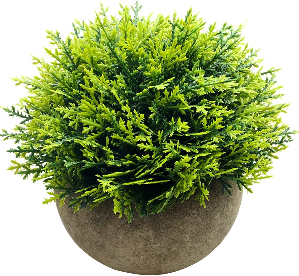 Farmhouse Artificial Plant - View 4