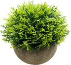 Farmhouse Artificial Plant - View 4