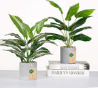 Faux Plant - View 8
