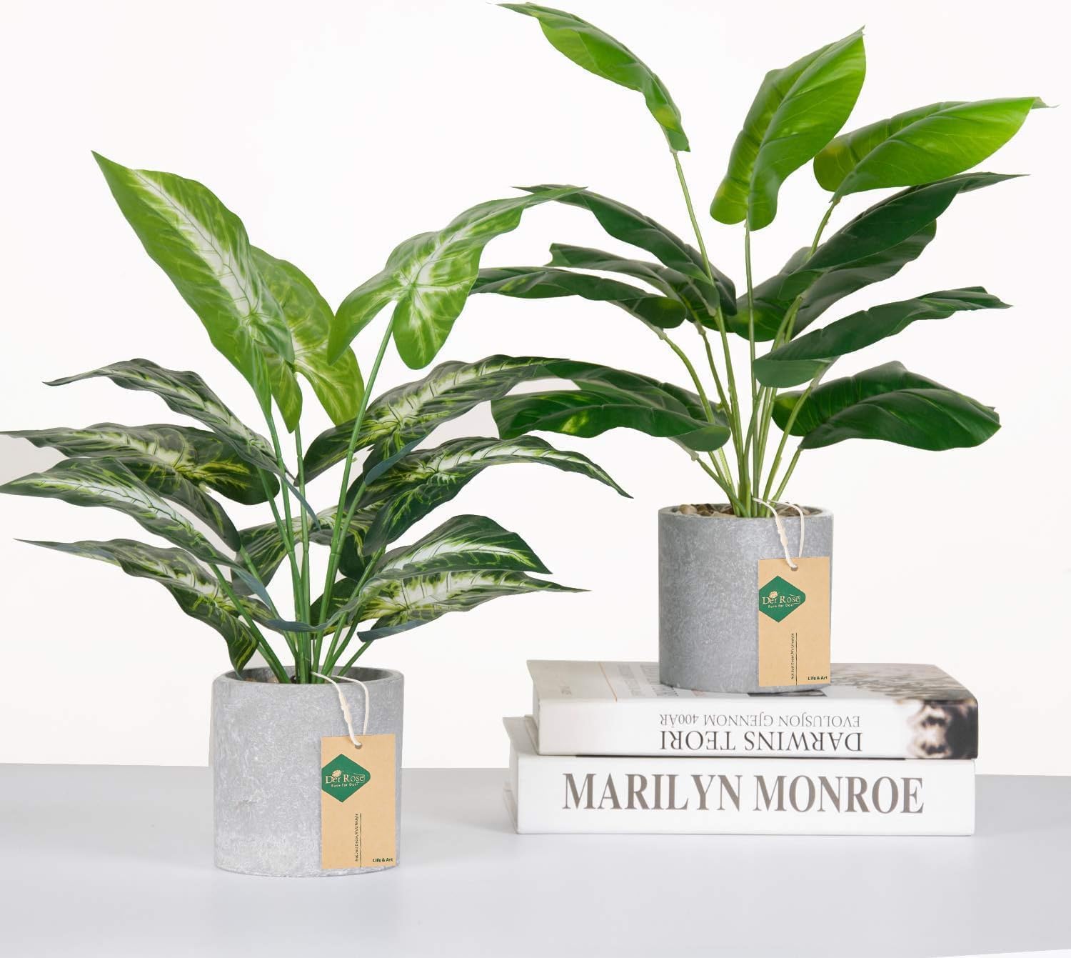 Faux Plant - View 8