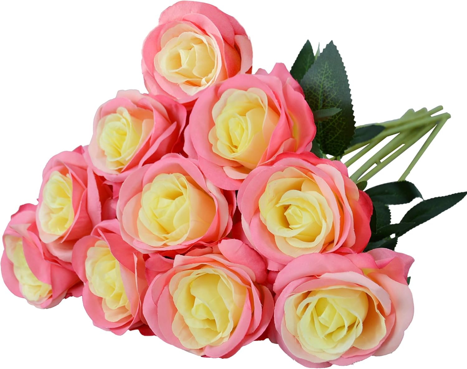 Black Artificial Plant — Rose Red