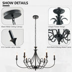 Farmhouse Black Chandelier - View 8