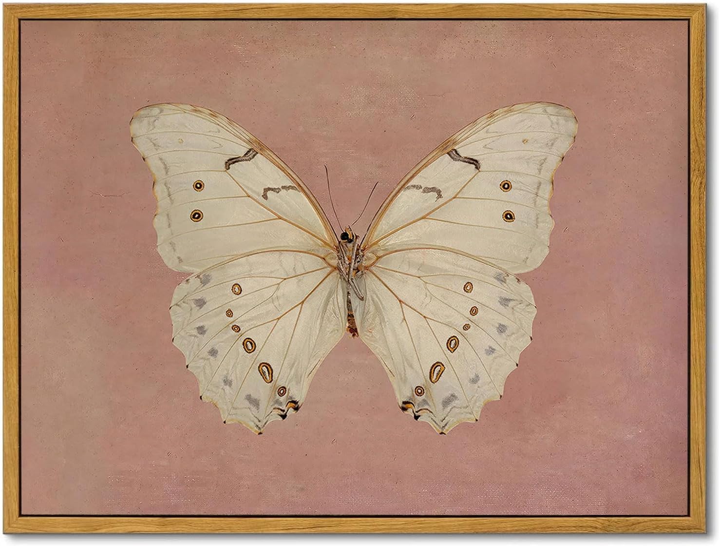 Framed Farmhouse Black Canvas Wall Art — 10" — Butterfly