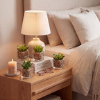 Glass Faux Plant — Set of 4 - View 5