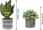 Modern Artificial Plant - View 2