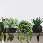 Black Artificial Plant — Set of 3 - View 4