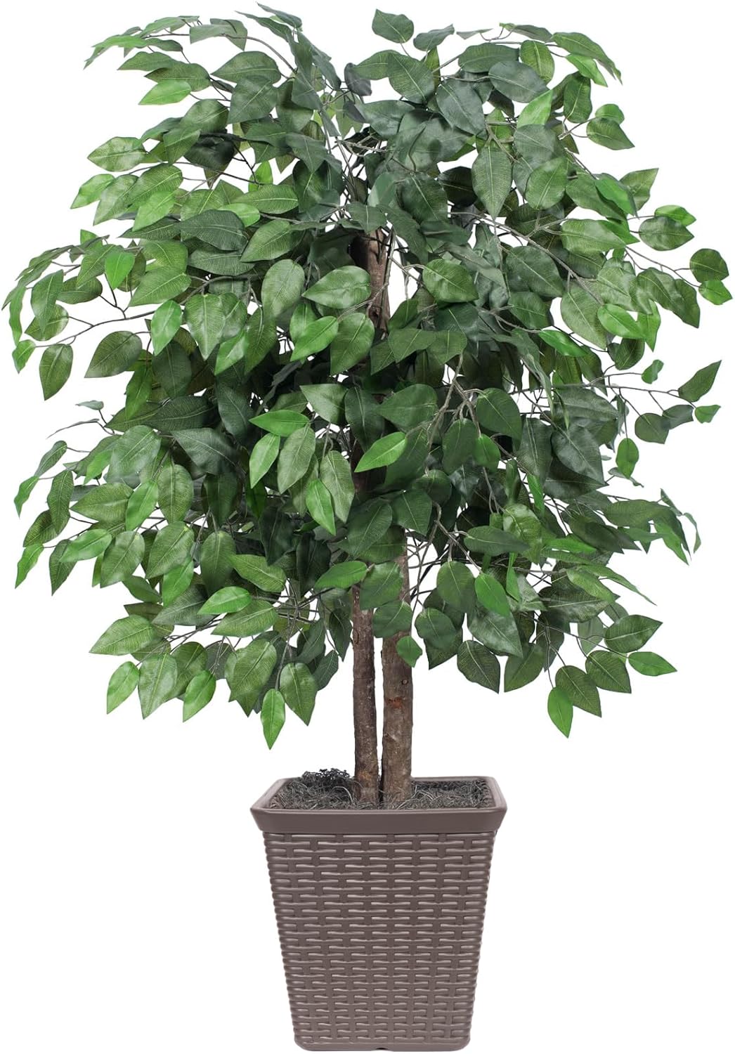 Rattan Faux Plant — 5" — Square Plastic Pot