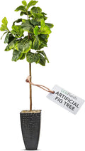 Boho Black Artificial Plant — Black Metal