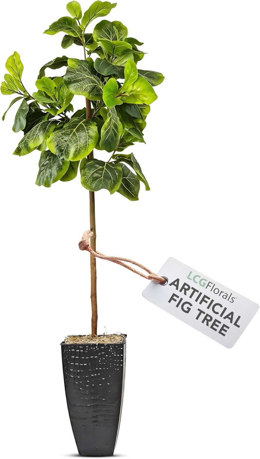 Boho Black Artificial Plant — Black Metal