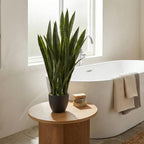 Artificial Plant - View 2