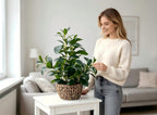 Boho Green Artificial Plant — 18.8" - View 3