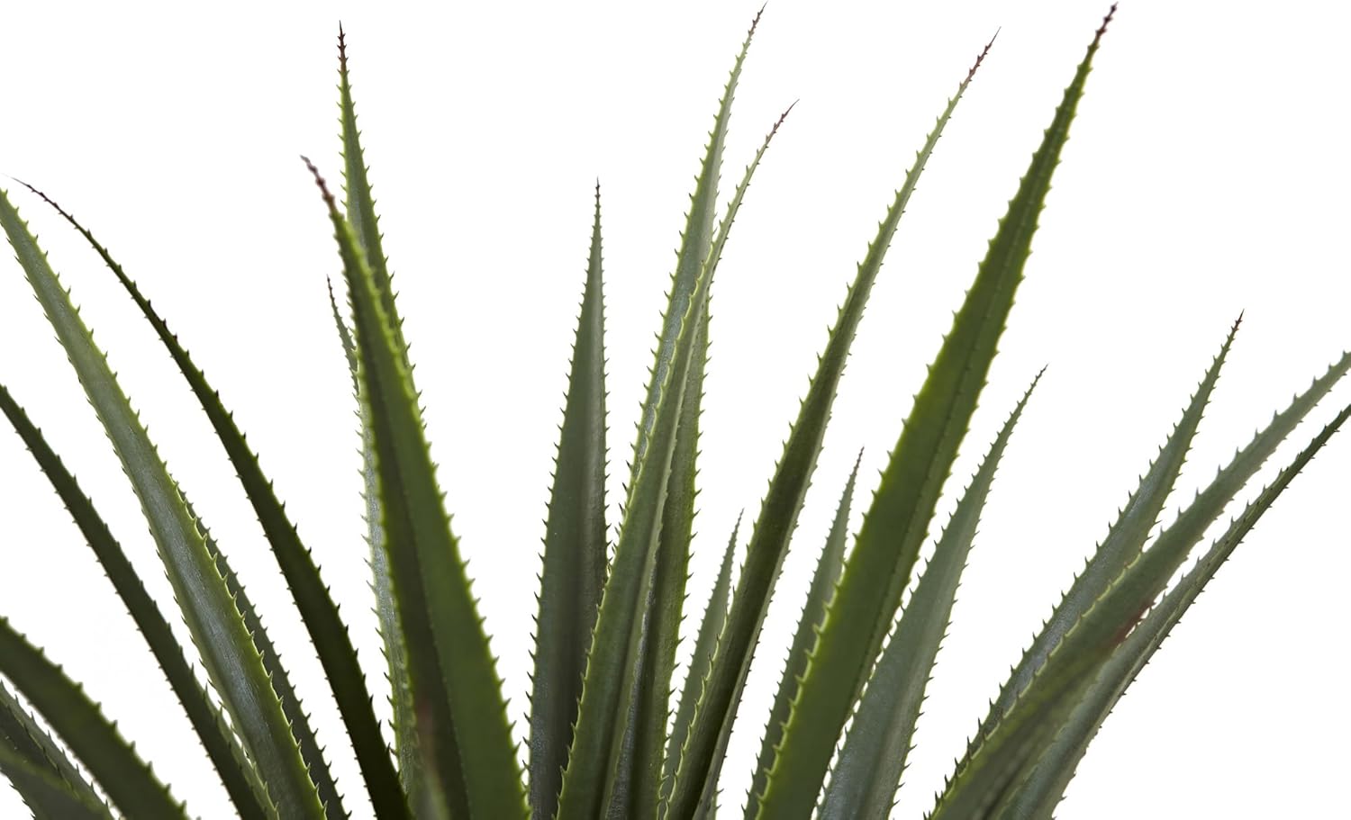 Faux Succulent - View 8