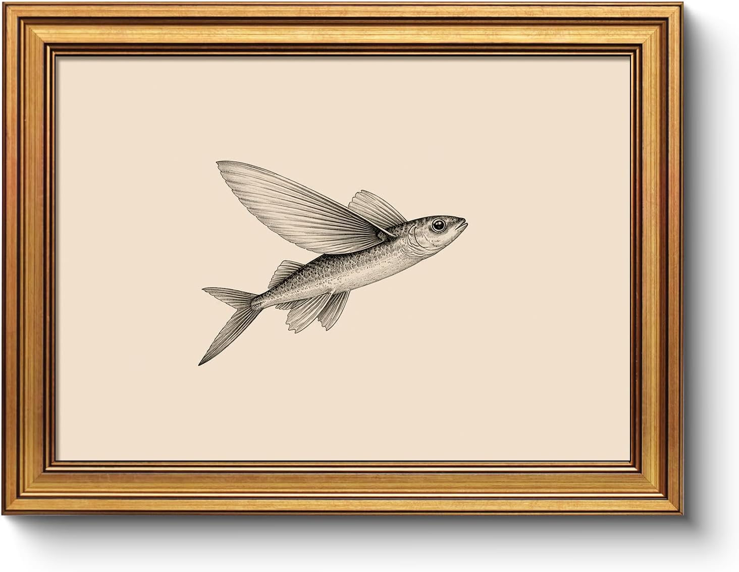 Framed Farmhouse Blue Wall Art — 16" — Flying Fish