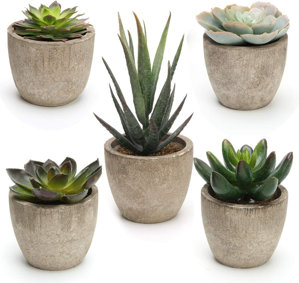 Green Faux Succulent — Set of 5 — Green