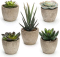 Green Faux Succulent — Set of 5 — Green