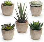 Green Faux Succulent — Set of 5 — Green