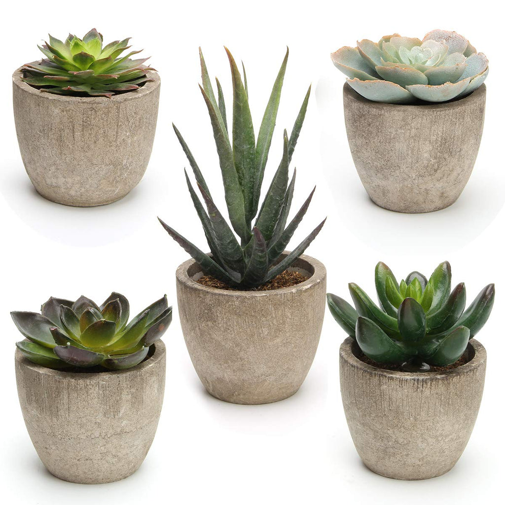 Green Faux Succulent — Set of 5