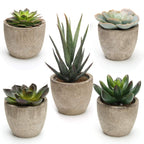 Green Faux Succulent — Set of 5