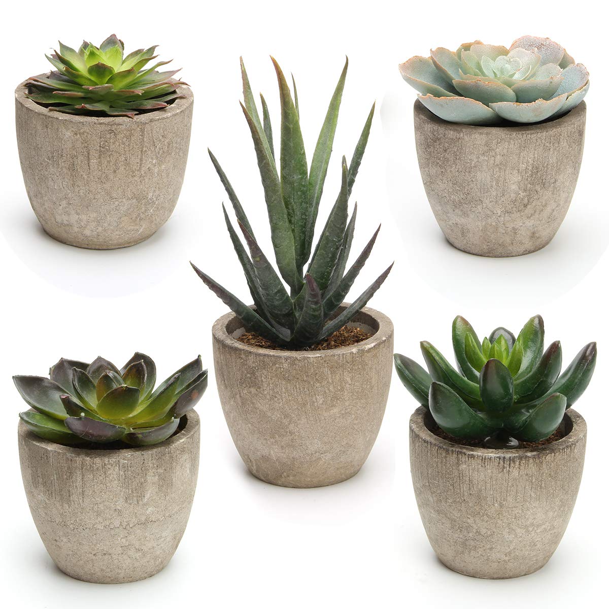 Green Faux Succulent — Set of 5