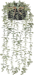 Farmhouse Black Artificial Plant — 1