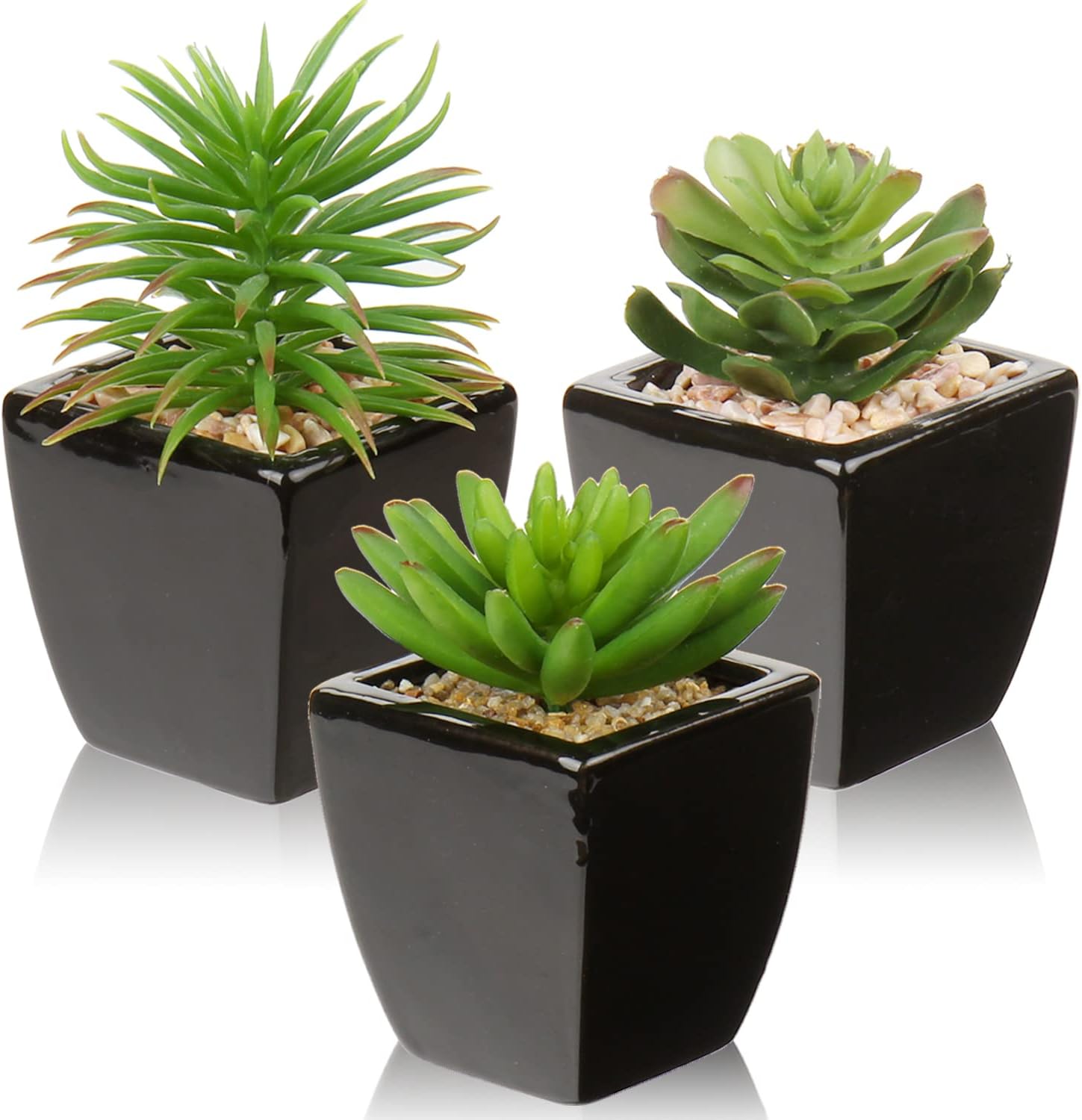 Modern Black Faux Succulent — 3pack - Black Ceramic