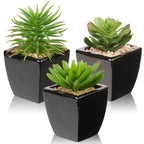 Modern Black Faux Succulent