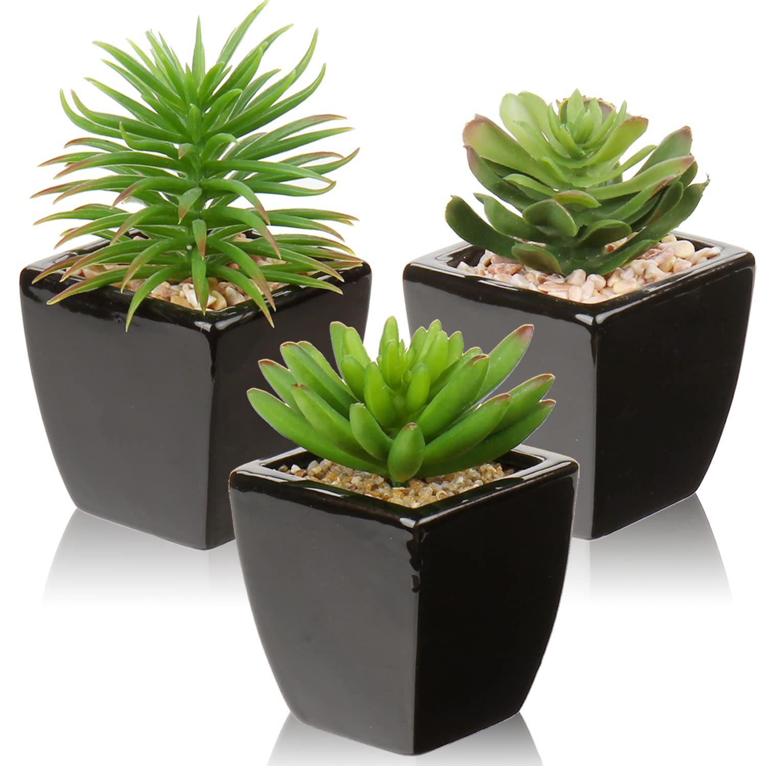Modern Black Faux Succulent