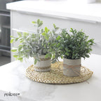 Farmhouse Faux Plant - View 2
