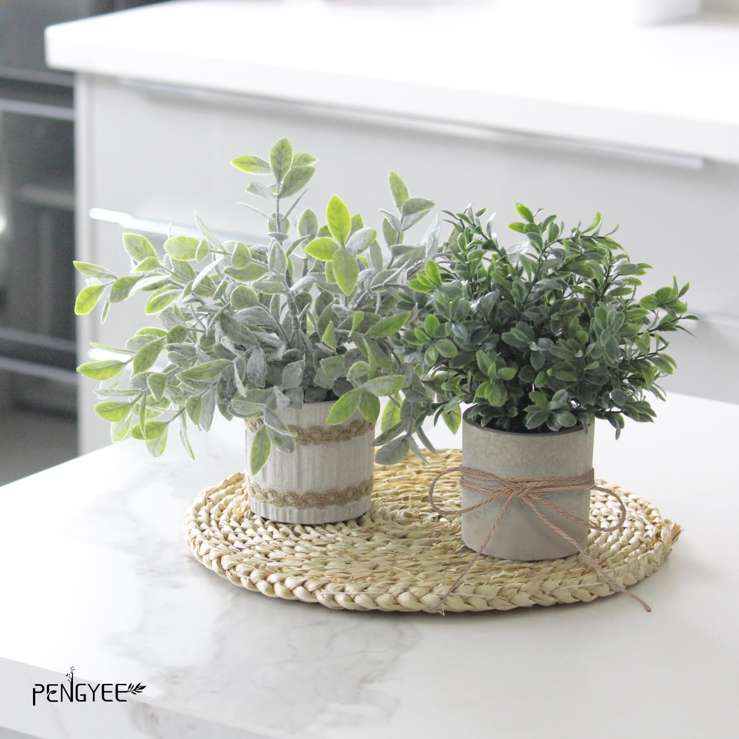 Farmhouse Faux Plant - View 2