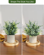 Farmhouse Black Artificial Plant - View 3