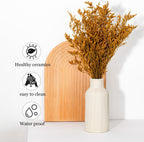 Boho Beige Vase — Set of 3 - View 3