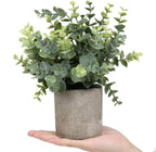 Wood Artificial Plant — 8.3" - View 2