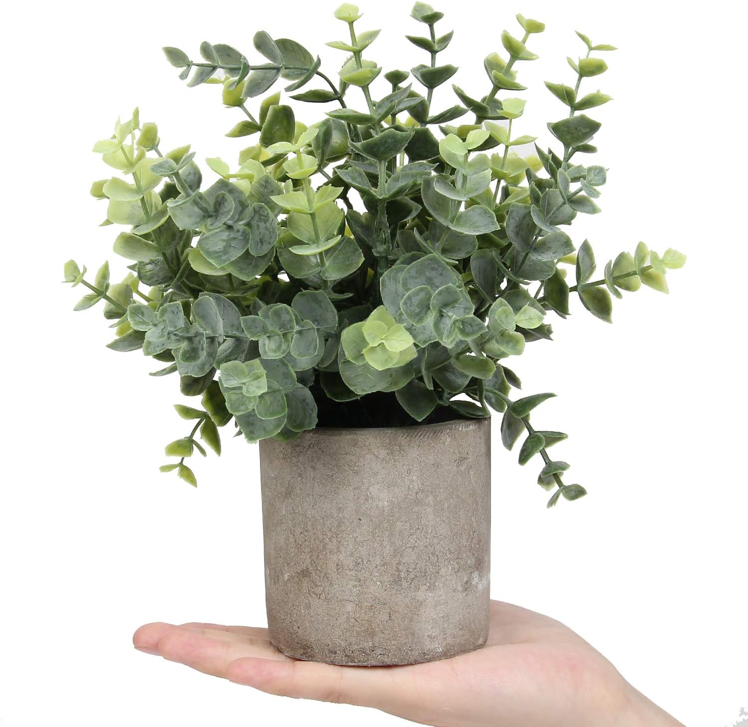 Wood Artificial Plant — 8.3" - View 2