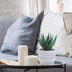 Boho Stone Faux Succulent — Set of 3 - View 4