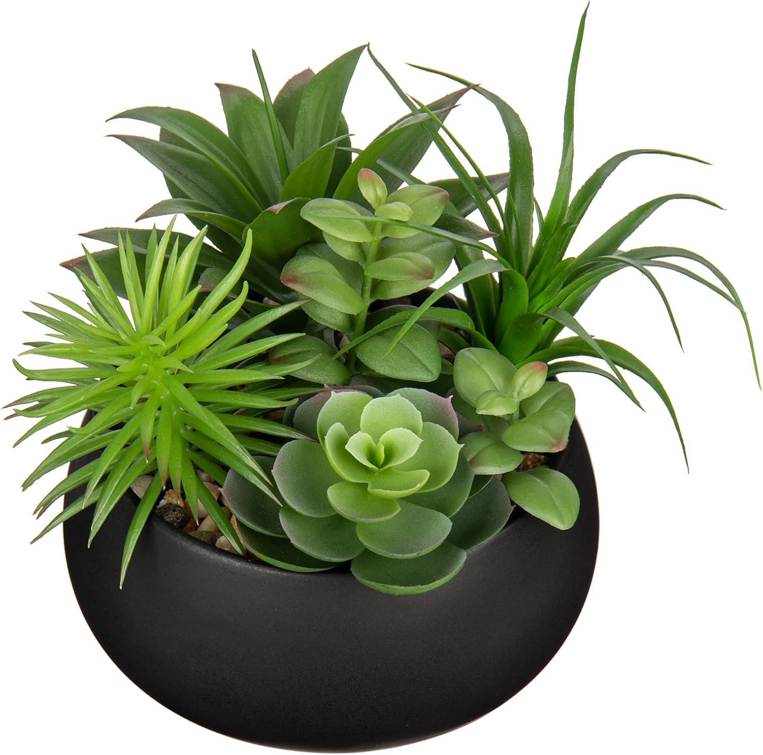 Black Faux Succulent — Premium Black