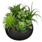 Black Faux Succulent