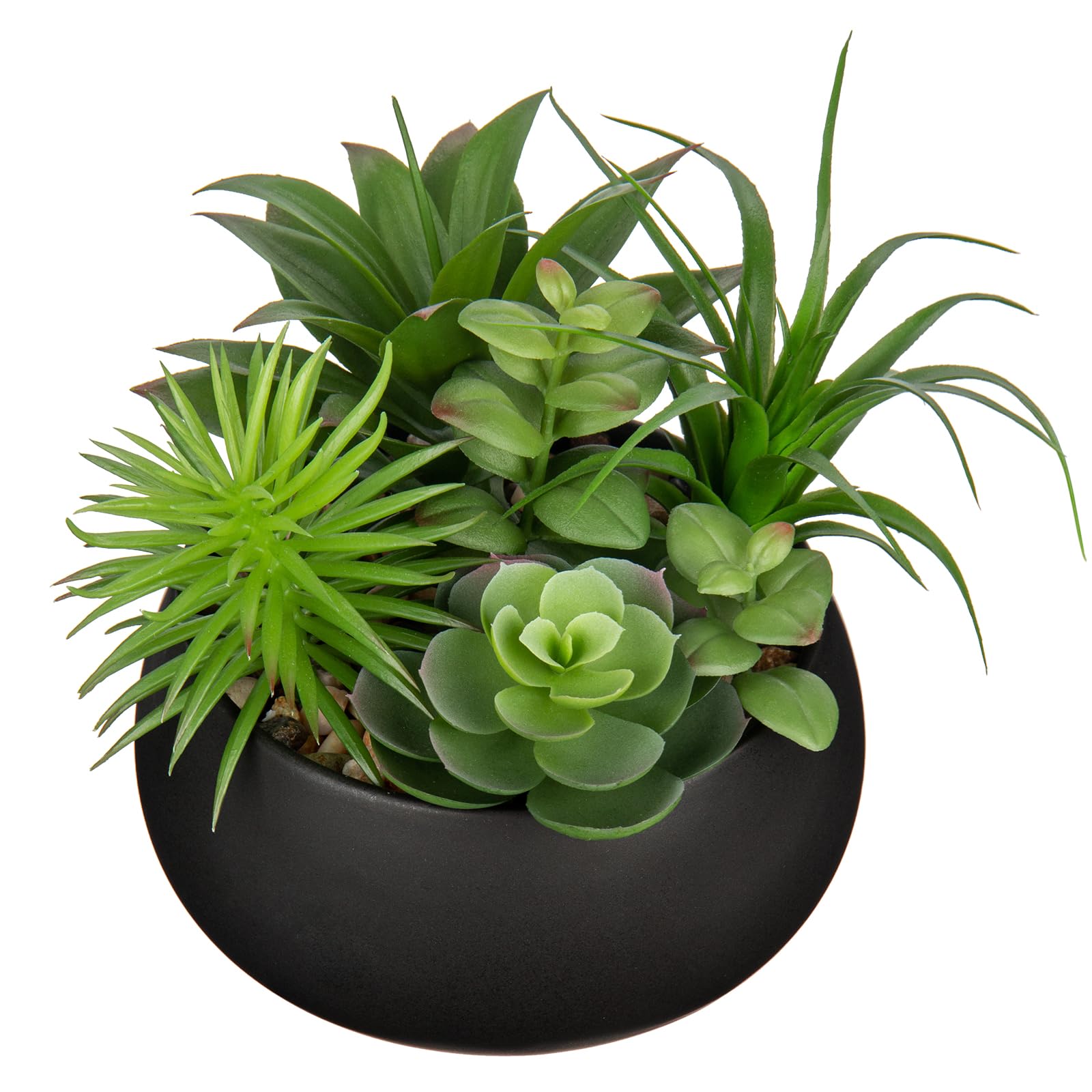 Black Faux Succulent