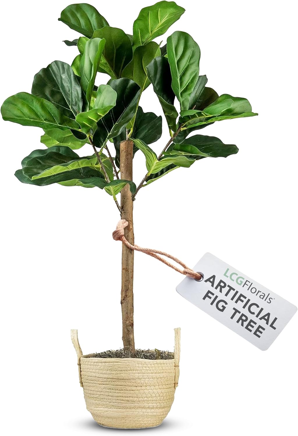 Boho Black Artificial Plant — Boho Basket