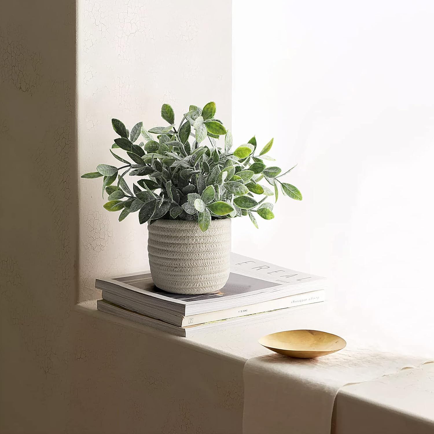 Farmhouse Green Faux Plant — 8" - View 6