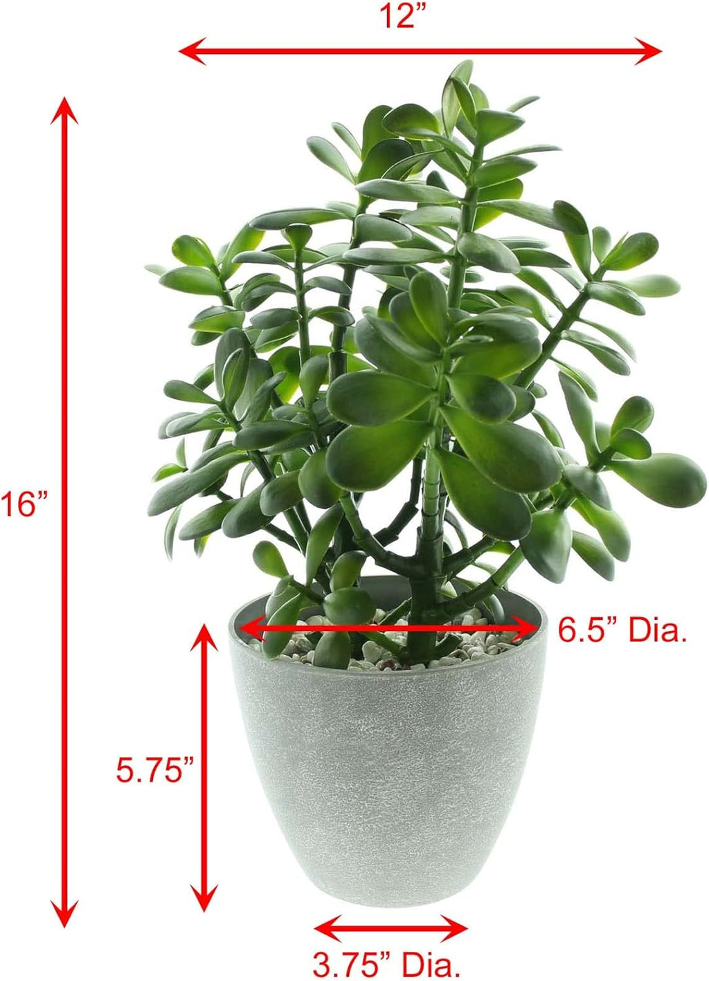 Artificial Plant - View 5
