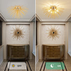 Luxe Black Chandelier — 6-Light - View 7