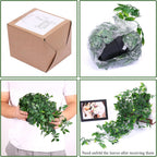 Artificial Plant - View 4