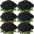 Beige Artificial Plant — Black
