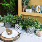 Modern Wood Artificial Plant - View 6